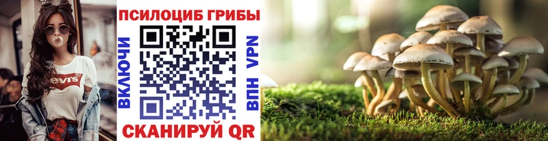 Купить где  Старая Купавна  Галлюциногенные грибы Magic Shrooms 